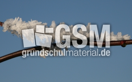 Winterimpressionen 048.jpg